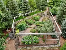 how-do-i-start-an-edible-garden