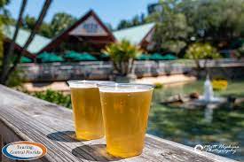 free beer extended at busch gardens