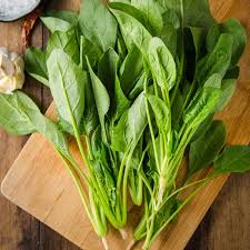 bamboo leaf spinach seeds selling