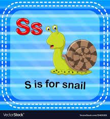 flashcard letter s is for snail royalty