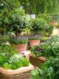 8 Container Gardens That Prove You Don