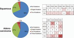 Racial Diversity Of Actionable Mutations In Non Small Cell