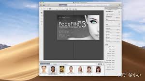 reallusion facefilter3 pro for mac 人像
