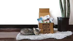 If the subscription box is for an owner of multiple cats, before you decide on a more. 9 Subscription Boxes You Need If You Love Cats
