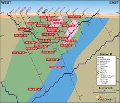 Cardinals Starter Pit Infill Drilling Results Toronto Stock