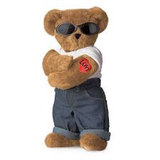 Image result for teddy