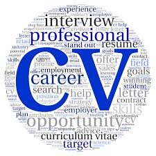 Top    Professional Resume Writing Services Reviews CV Plaza Graduate Student