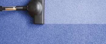 professional carpet cleaning watertown