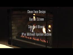 Direct Vent Fireplace Inserts