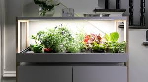 Voila, a super simple greenhouse. This Indoor Garden System Is The Perfect Solution For All Gardeners
