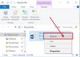 Home file manager change userid. 4 Ways To Recover An Unsaved Deleted Word Document Acronis Revive