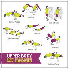 upper body bodyweight training exercise
