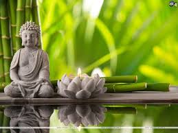 green buddha hd wallpapers top free