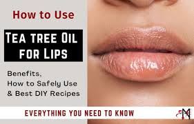 tea tree oil on lips benefits how to