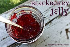 blackberry jelly recipe to can or