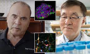 Doctors transplant neurons made from ...