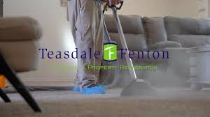 steam cleaning service by teasdale