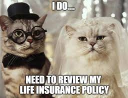 Funny life insurance memes form local life agents | funny. Life Insurance For Newlyweds Cook Insurance Of Iowa
