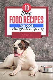 10 homemade dog food for bladder stones