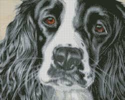 Cross Stitch Chart Or Complete Kit Springer Spaniel Dog Lucy
