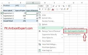 chapter 2 data sorting in pivot table