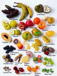 Fruit Basics