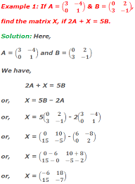 10 Math Problems Solving Matrix Equations