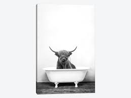 Made of velvet stone, it is elevated by its simplicity and striking lines. Highland Cow In Bathtub Black And White Canvas Amy Peterson Icanvas