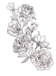 40 staggering peony coloring page. Peony Coloring Pages To Download And Print For Free