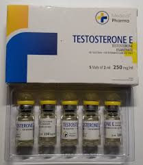 testosterone e 250mg x 2ml 5s