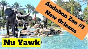 new orleans video tour audubon zoo 1