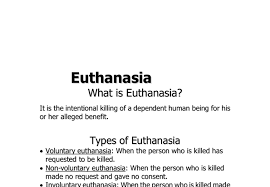 Euthanasia Research Paper Bion BB