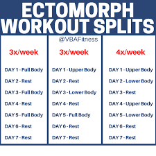 the best ectomorph body type guide for