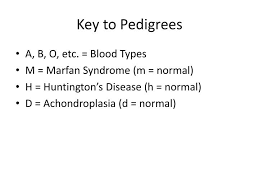 Ppt Key To Pedigrees Powerpoint Presentation Id 4320696