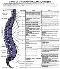 59 Correct Merrick Chart Spine