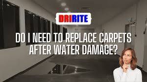 replace carpets after water damage