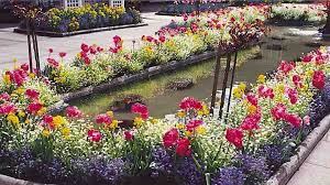 Mixed Flower And Bulb Plantings Grown