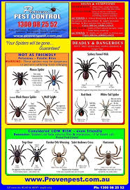First Aid Spider Chart Pest Control Prices From 79