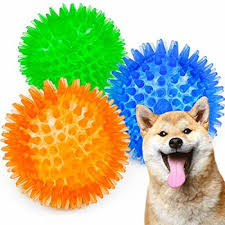 sharlovy squeaky for dogs small