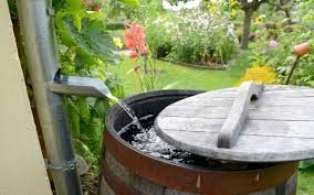 diy greywater system