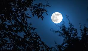 By anne buckle, graham when the side of the moon we can see from earth is fully lit up at full moon, the other side is in. No Tricks Just A Halloween Blue Moon Yalenews