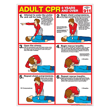 Cpr Chart Adult Paper