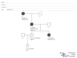 Heres My Pedigree I Created It Using Pedigree Chart