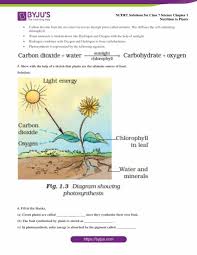 cl 7 science chapter 1