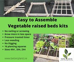 Easy Assemble Vegetable Beds 4x4 Foot