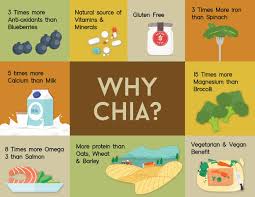 They are a great source of protein. The 7 Remarkable Benefits Of Chia Seeds Plus How To Use Them With Recipes Organic Vegan Superfoods