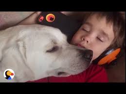 boy with autism gets dog who changes