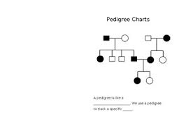 Pedigree Charts Worksheets Teaching Resources Tpt
