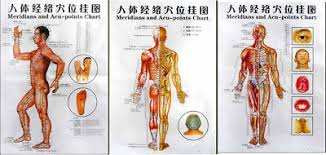 3 Poster Charts Acupuncture Human Body Charts Meridians And
