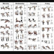 Aesthetic Plan Gym Workouts Weight Training Workouts Gym